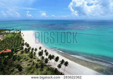Aerial View Of Carneiros Beach, Tamandaré, Pernambuco, Brazil. Great Beach Scene. Beautiful Landscap