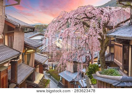 Kyoto, Japan in the Higashiyama district with cherry blossoms the springtime.