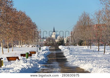 Trees In Beautiful Romantic Winter Alley Covered With Snow With Sidewalk In The Middle, Church In Ba