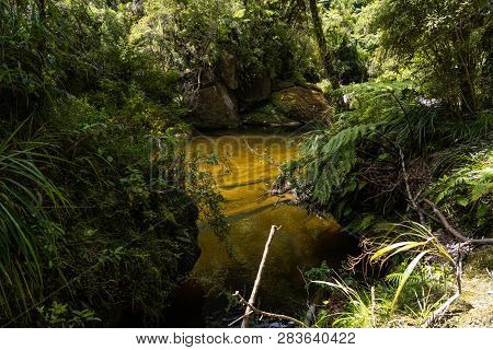Pororari River Track, Landscape On The Pororari River Track, New Zealand, South Island, Wild New Zea