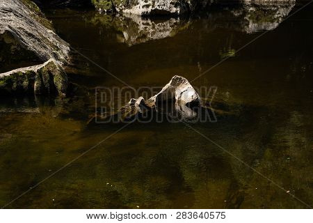 Pororari River Track, Landscape On The Pororari River Track, New Zealand, South Island, Wild New Zea
