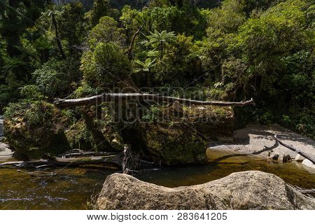 Pororari River Track, Landscape On The Pororari River Track, New Zealand, South Island, Wild New Zea