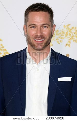 LOS ANGELES - FEB 9:  Luke Macfarlane at the Hallmark Winter 2019 TCA Event at the Tournament House on February 9, 2019 in Pasadena, CA