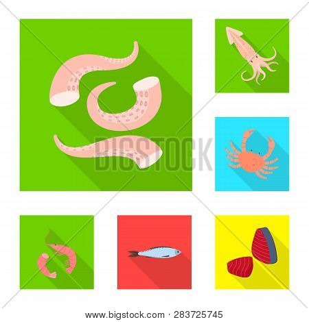 Vector Illustration Of Product And Ocean Icon. Set Of Product And Restaurant Stock Vector Illustrati