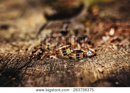 Stylish Wedding Rings On A Wooden Background