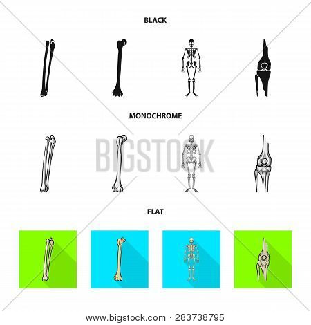 Vector Design Of Medicine And Clinic Sign. Set Of Medicine And Medical Vector Icon For Stock.