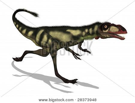 Dilong dinosauro