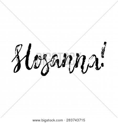 Hosanna - Easter Hand Drawn Lettering Calligraphy Phrase Isolated On The White Background. Fun Brush