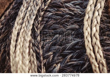 Fashion Hairstyles Braids Braids : Many Small Breeds Tail Creative Hairstyles With Thick Braids