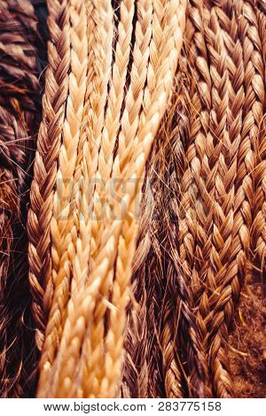 Fashion Hairstyles Braids Braids : Many Small Breeds Tail Creative Hairstyles With Thick Braids