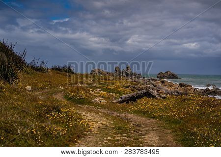 Amazing Coastline At Cape Foulwind Westport New Zealand, Great Coast With The Waves Of The Ocean In 