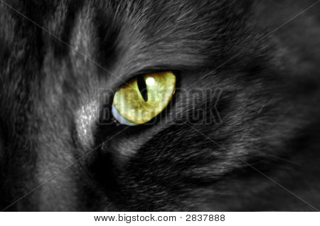 Golden Eye