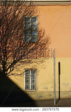 Detail Of A Yellow House With Branches
