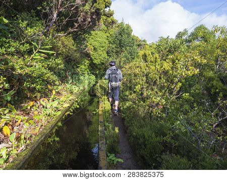 Men Hiker Walking On Footpath Along Lavada - Water Irrigation Canals Covered By Moss And Lush Vegeta