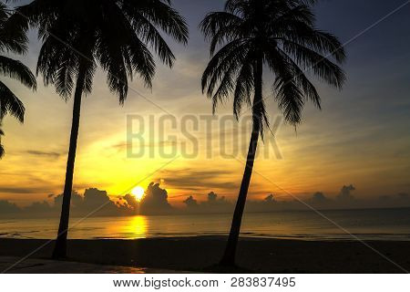 Sunrise And Two Coconut Beautiful On Beach At Thung Wua Lan Beach, Chumphon Province Thailand