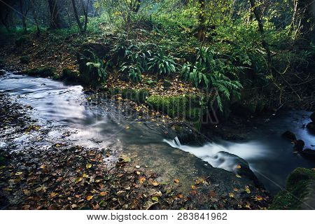 Long Exposure Of A River Creek With A Small Waterfall. Sunset And Strong Detail Bokeh View. Blue Cal