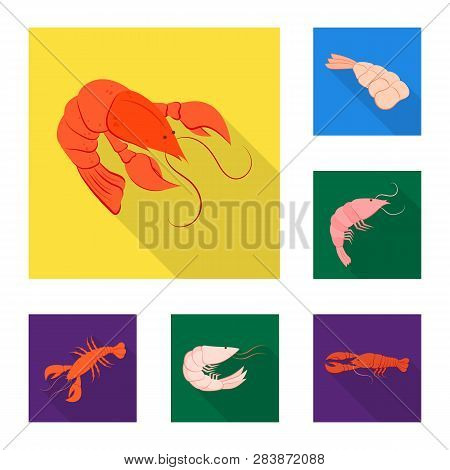 Vector Design Of Appetizer And Seafood Symbol. Set Of Appetizer And Ocean Vector Icon For Stock.