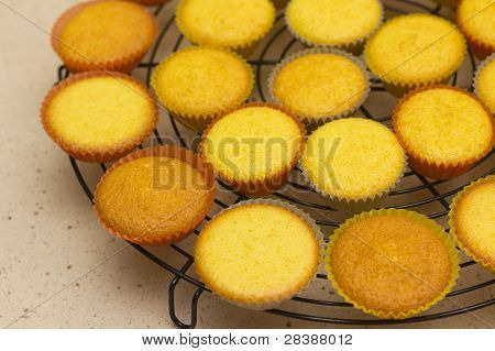 Freshly Backed Cupcakes On A Backing Rack. Shallow Depth Of Field.