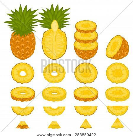 Illustration On Theme Big Set Different Types Yellow Tropical Pineapple, Green Stem Various Size. Pi