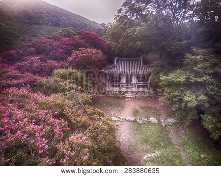 Korean Tradition House Myeongokheon Garden , Damyang, Jeollanamdo, South Korea