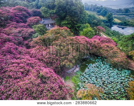 Korean Tradition House Myeongokheon Garden , Damyang, Jeollanamdo, South Korea