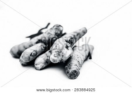 Close Up Of Popular Indian & Asian Raw Organic Herb Or Ayurvedic Herb Isolated On White I.e. Amba Ha