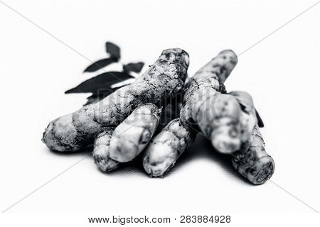 Close Up Of Popular Indian & Asian Raw Organic Herb Or Ayurvedic Herb Isolated On White I.e. Amba Ha