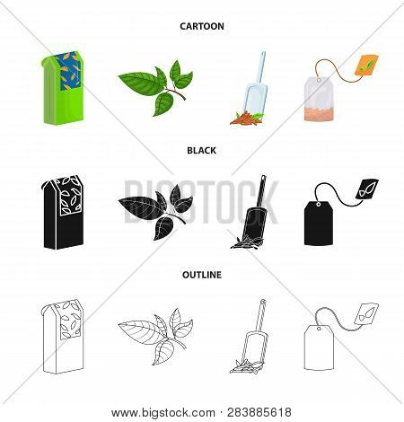 Vector Design Of Healthy And Floral  Symbol. Set Of Healthy And Gradient Vector Icon For Stock.
