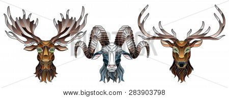 A Set Of Stained Glass Items, Stained Glass With Animal Heads, A Deer,  A Elk And A Ram, Isolates On