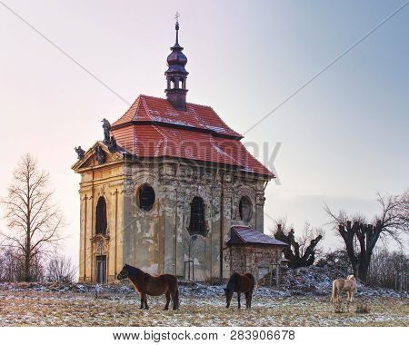 Horse Feeding On Meadow In Winter Day. Old Church Or Chapel On Hill In Background.