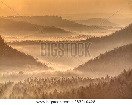 Strong Sun Rays Illuminating Sharp Treetops Of Misty Forest Scenery With Fresh And Vibrant Orange Fo