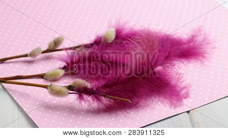 Fastelavnsris made of pussy willow branches with catkins and decorated with feathres