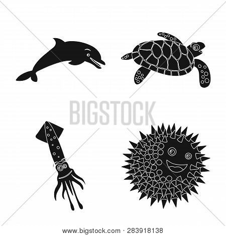 Vector Design Of Sea And Animal Symbol. Set Of Sea And Marine Vector Icon For Stock.