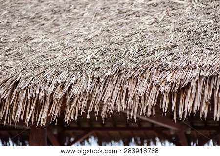 Thatched Roof On The Beach Under The Sun