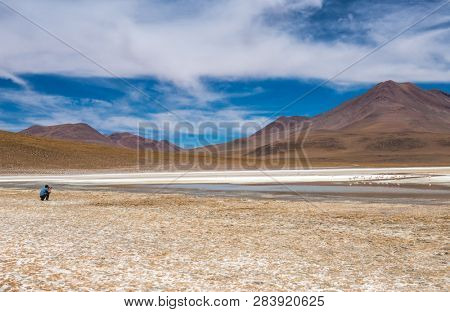 Sunshine view of Bolivian mountanious lagoon and man taking photos of flamingos at the water
