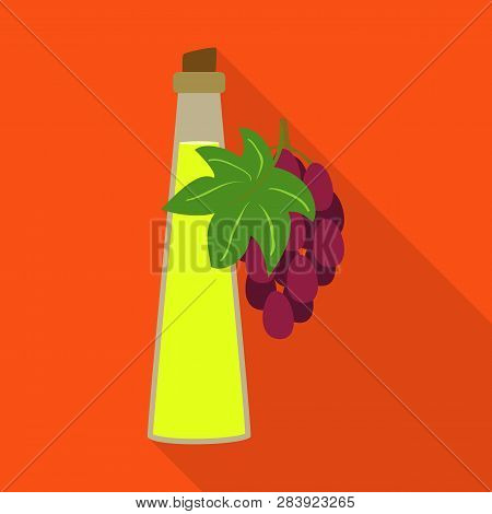Vector Design Of Grape And Seed Icon. Set Of Grape And Vitamin Vector Icon For Stock.