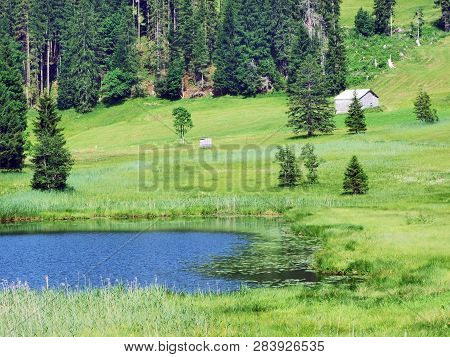 The Smaller Lake Schwendisee (hinterer Schwendisee), Wildhaus - Canton Of St. Gallen, Switzerland