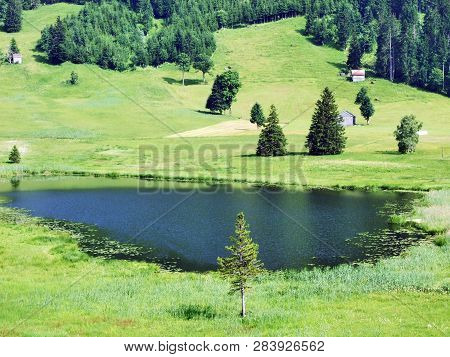The Smaller Lake Schwendisee (hinterer Schwendisee), Wildhaus - Canton Of St. Gallen, Switzerland