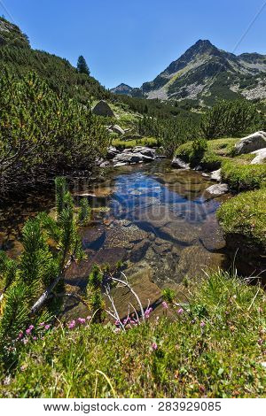 Summer Landscape With Valyavitsa River And Valyavishki Chukar Peak, Pirin Mountain, Bulgaria