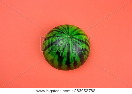 Top View Anti Stres Squishy Toy Watermelon On A Coral Background