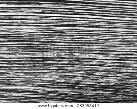 The Structure Of Piece Of Wood. Shot From Close View.