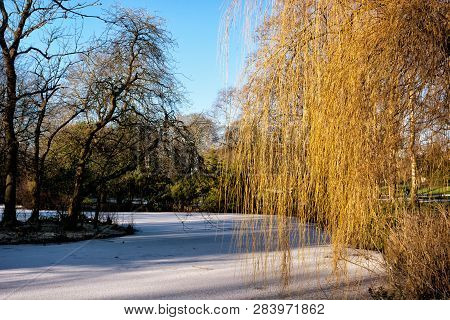 Frozen Pond In Public Park On A Bright Sunny Cold Day