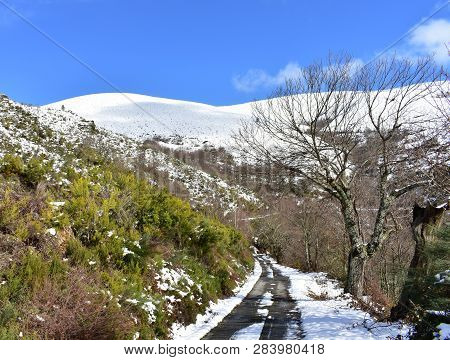 Winter Landscape With Road, Snowy Mountains, Trees And Vegetation. Blue Sky, Sunny Day. Ancares Regi