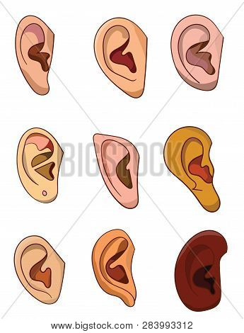 Vector Image Of A Set Of Ears Of Different People Of Different Colors
