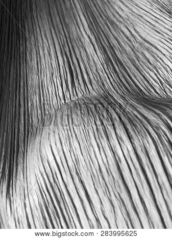 The Structure Of Piece Of Wood. Shot From Close View.