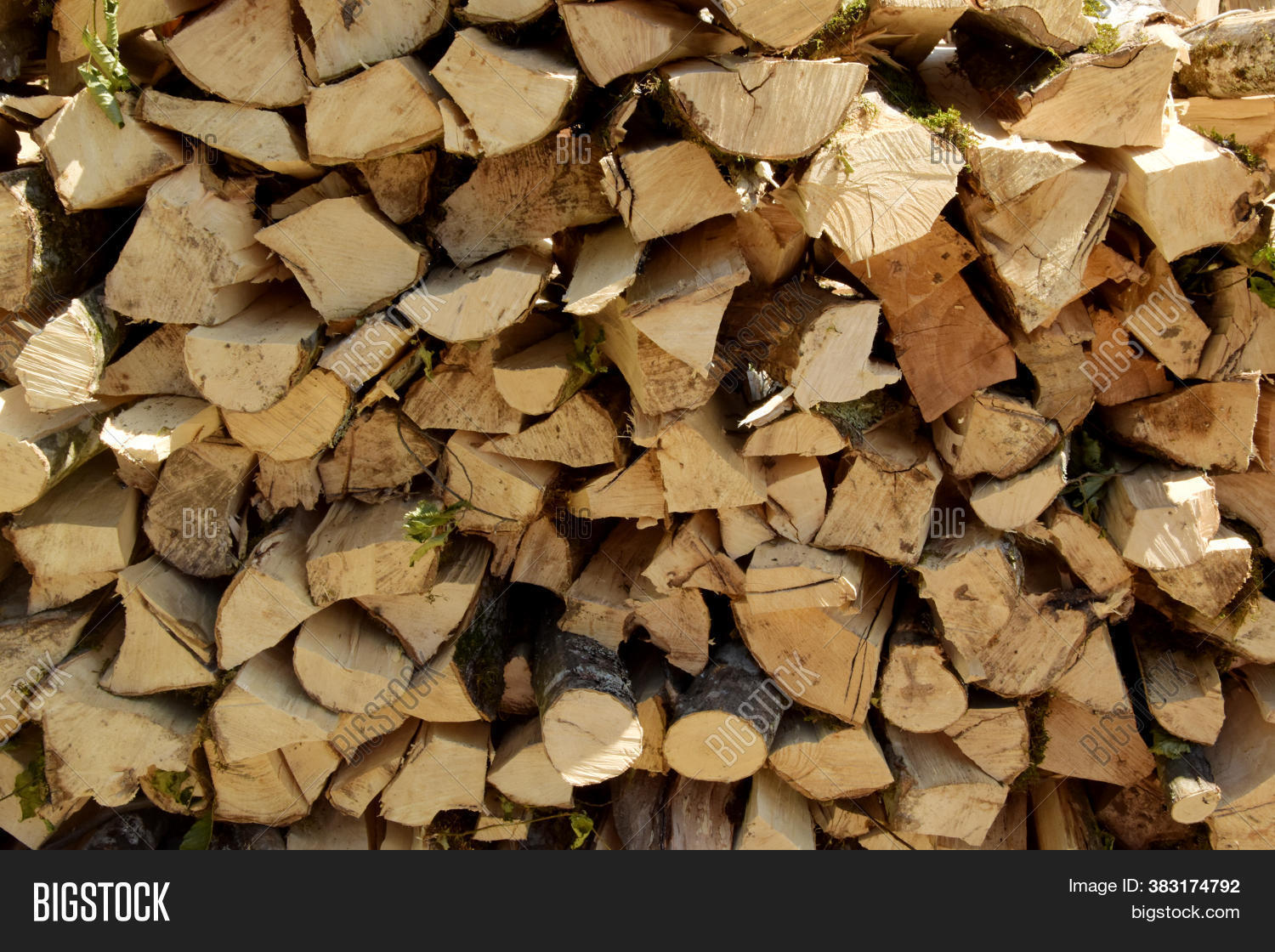dry fire wood