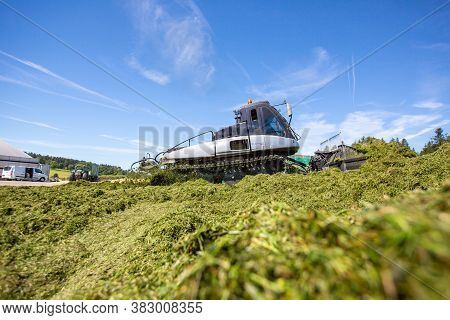 Bavaria / Germany - August 20, 2020: Prinoth Leitwolf Snowcat Prepares The Silage For The Biogas Pla