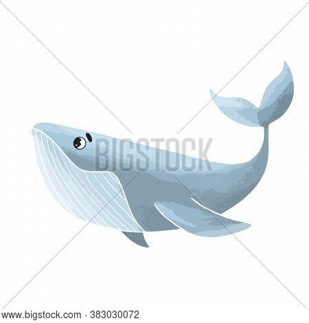 Fish Blue Whale Sperm Whale Illustration For Children Vector