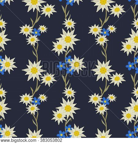 Floral Hand Drawn Seamless Pattern With Edelweiss. Star Shape National Symbol Of Alpes. Mountain Alp