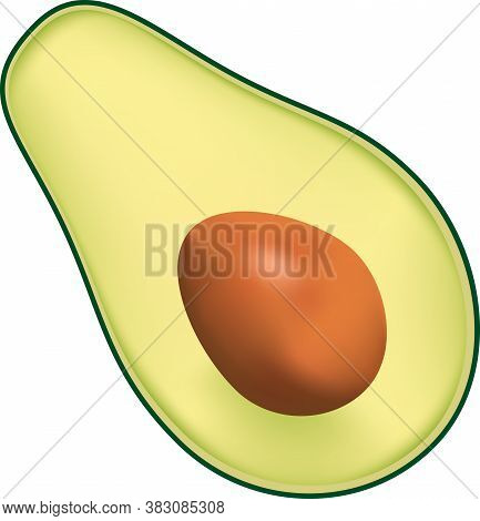 Avocado Fruit Cut In Half With Seed